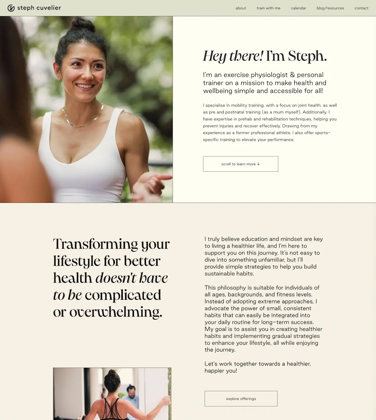 Steph Cuvelier — Homepage screenshot